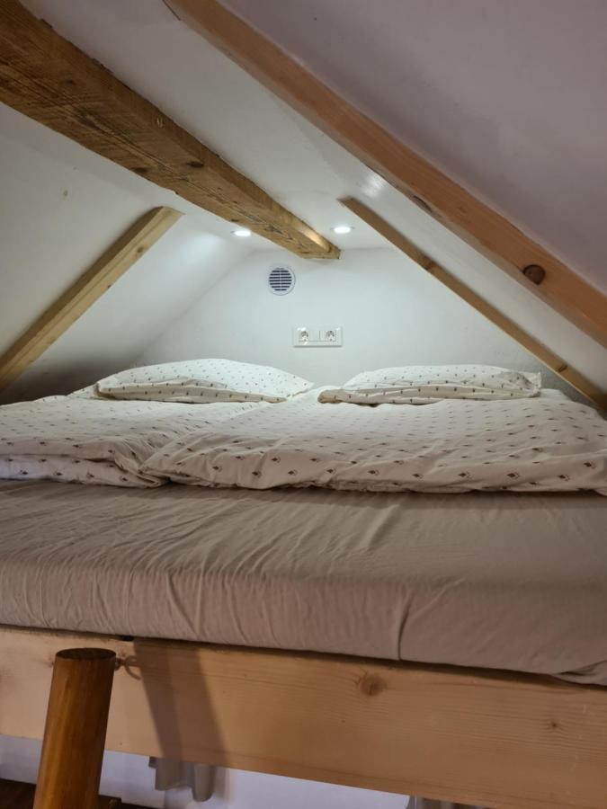 Villa Zidanica Zagar à Dolenjske Toplice Extérieur photo